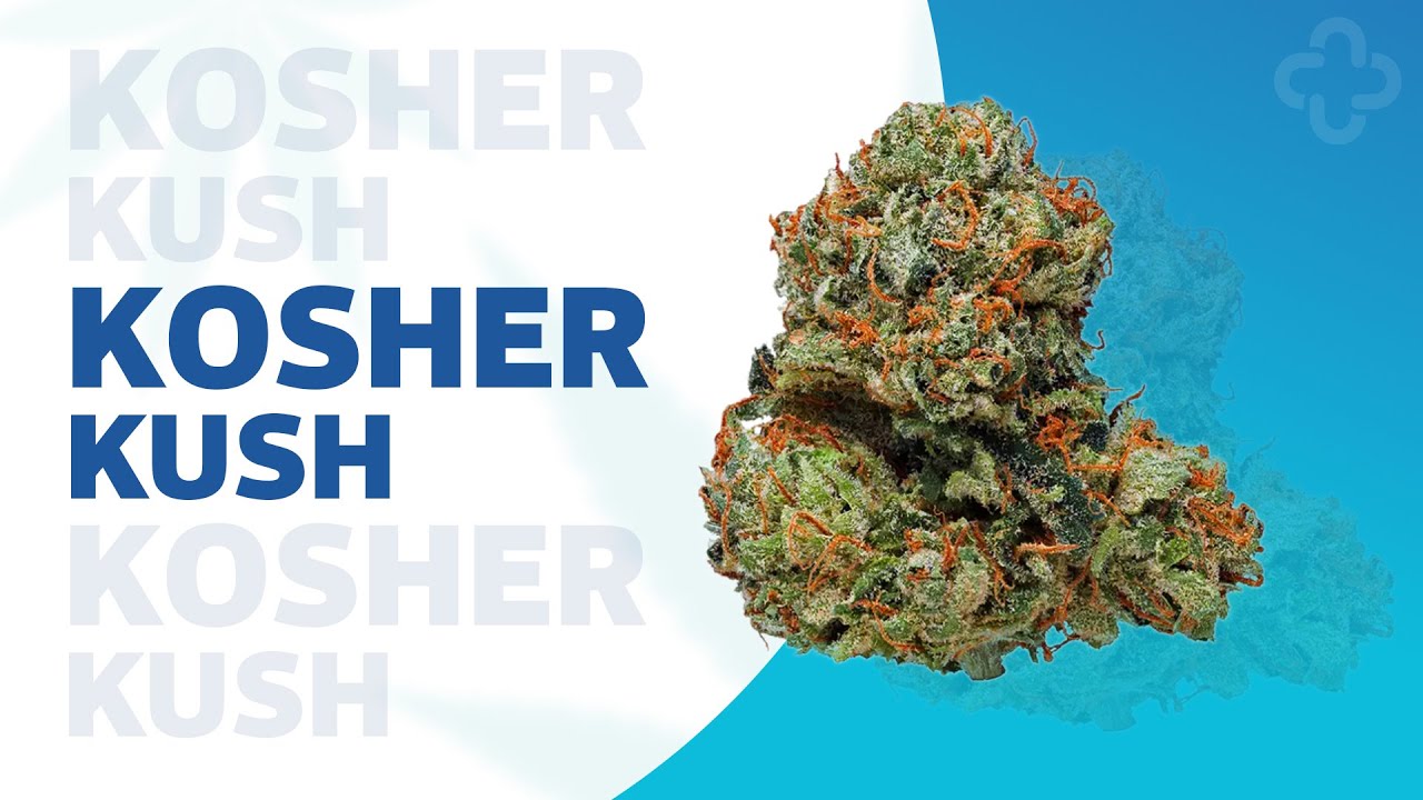 Kosher Kush Strainview