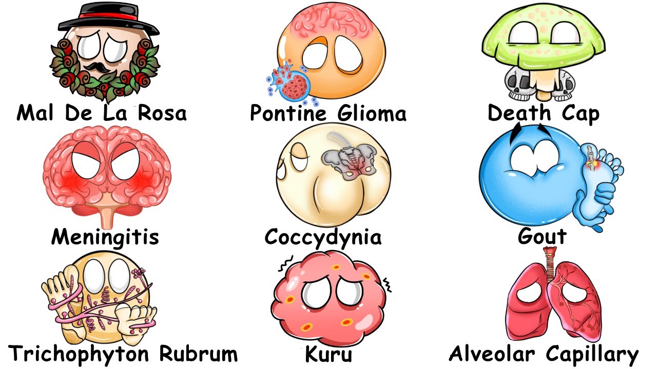 Every DEADLY Disease Explained in 63 Minutes