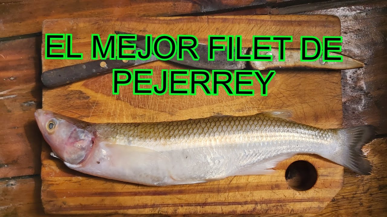 Como FILETEAR un PEJERREY / FILET SIN ESPINA 100 % CARNE