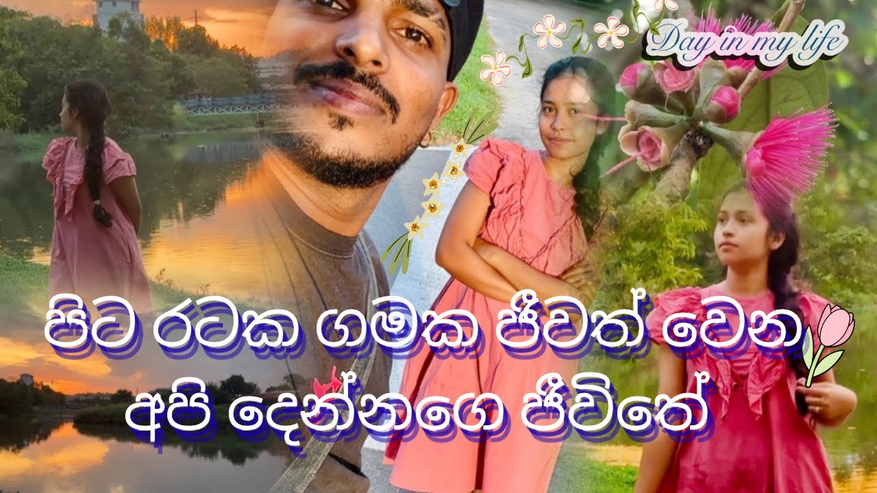 🍃හස්බන් එක්ක ❤️‍🩹නිස්කලංක හවස් වරුවක්✨| 2026 ට අලුත් උන මම 🌷🧚‍♀