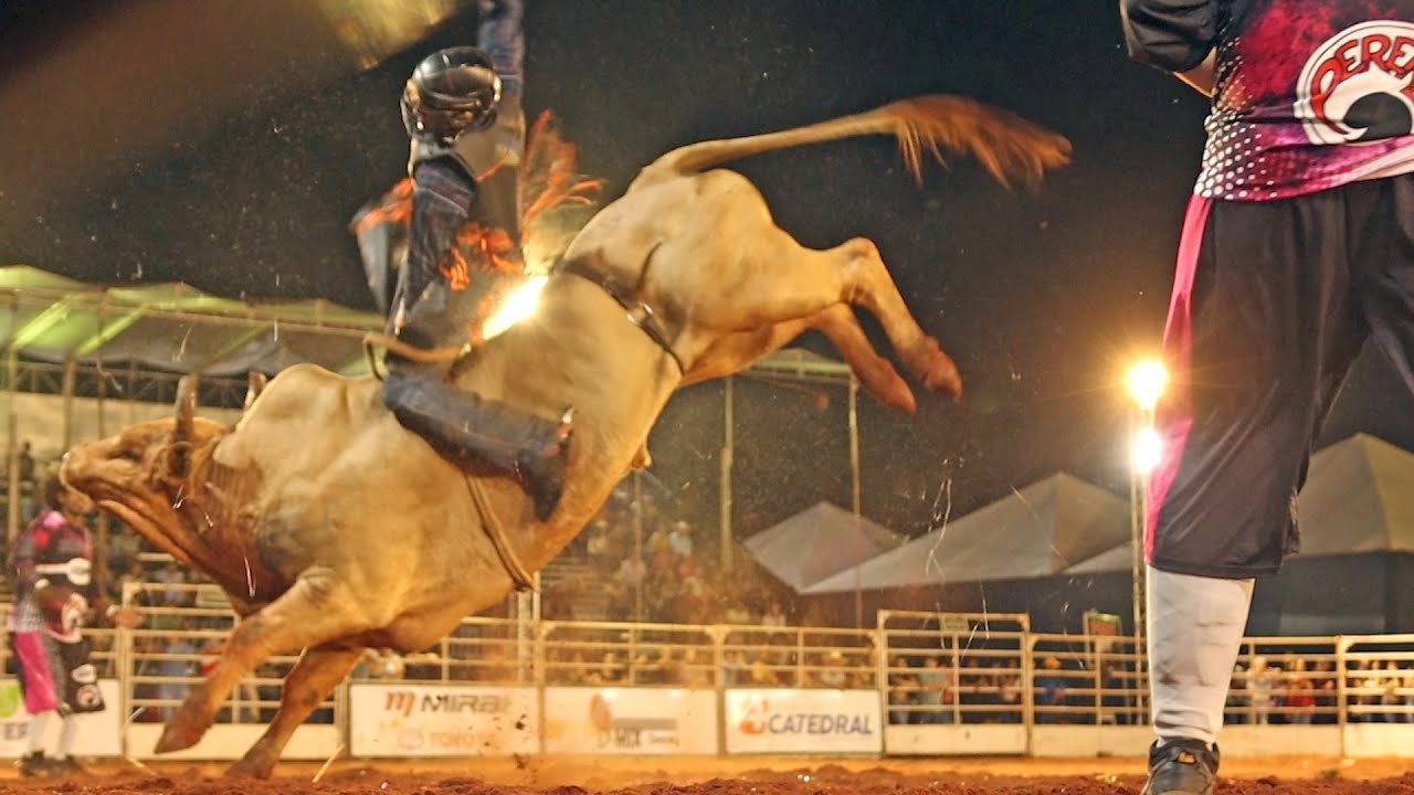 FINAL EM TOUROS - Rodeio de CAMPOS NOVOS PAULISTA 2023