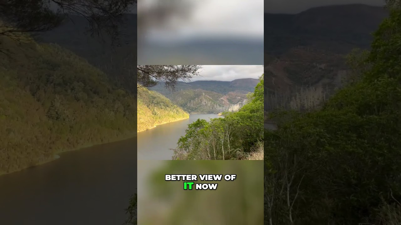 Maungatapu Ride Test and Maitai Dam View! 
