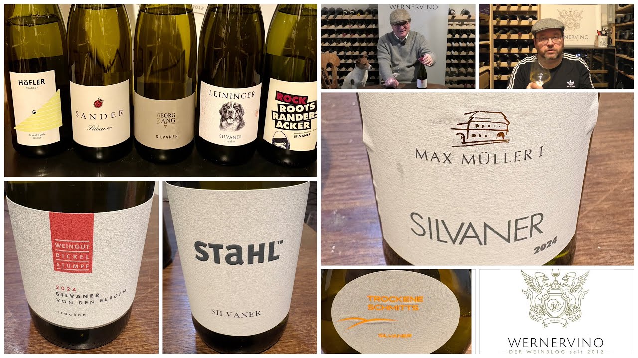 Folge 1369 Wie gut sind die Silvanerbasisweine aus 2024?