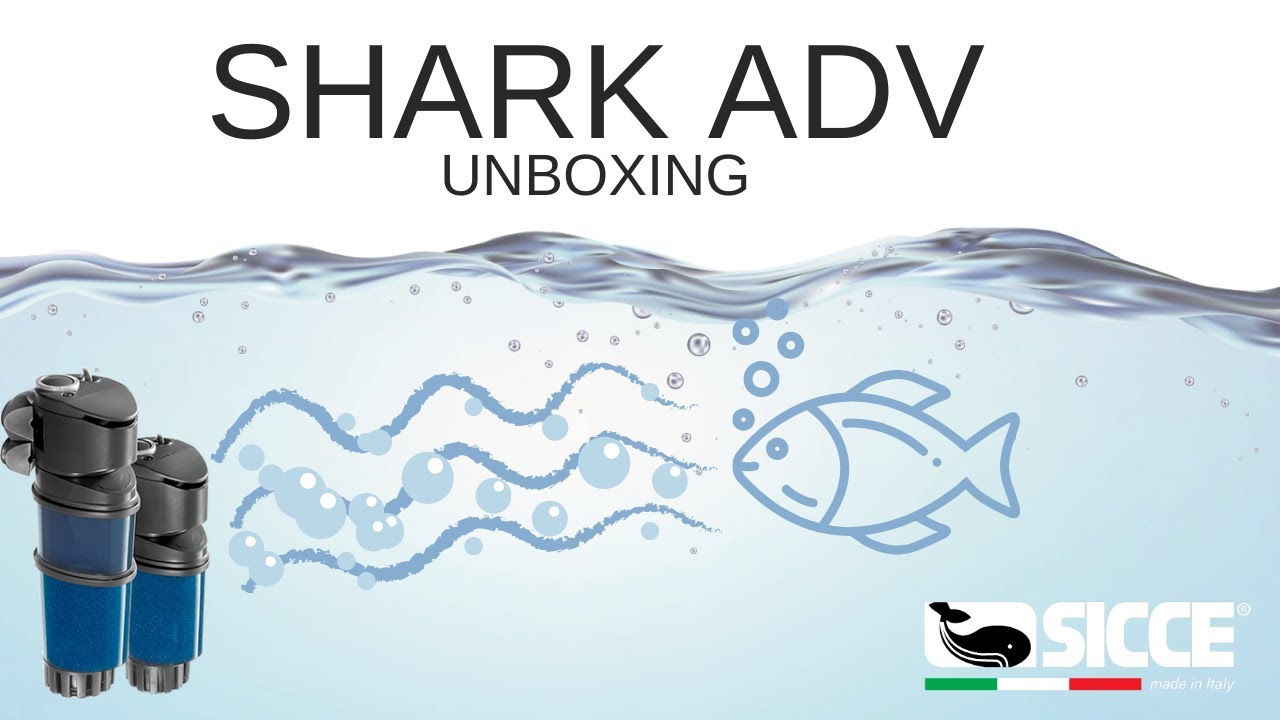 SICCE SHARK ADV | Unboxing