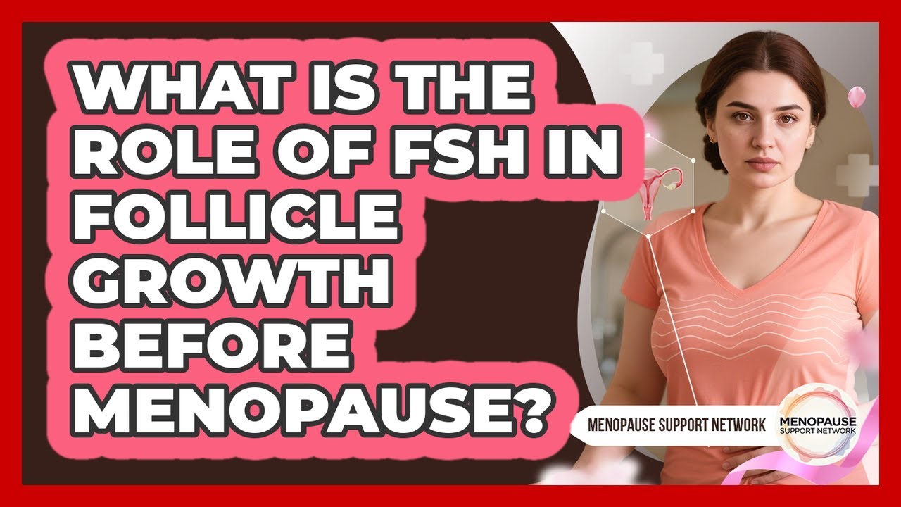 What Is The Role Of FSH In Follicle Growth Before Menopause? - Menopause Support Network