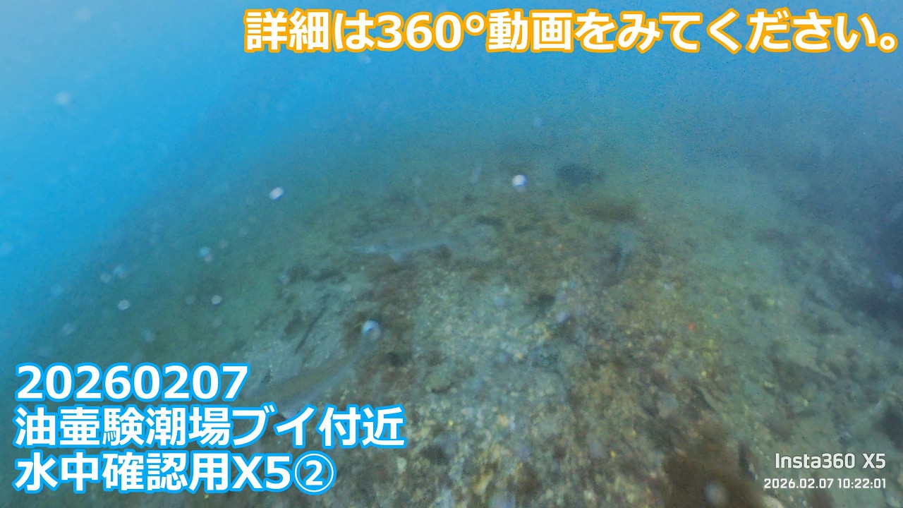20260207X5②油壷験潮場ブイ付近水中確認用(09:42:41～11:26:45)チャプター付き