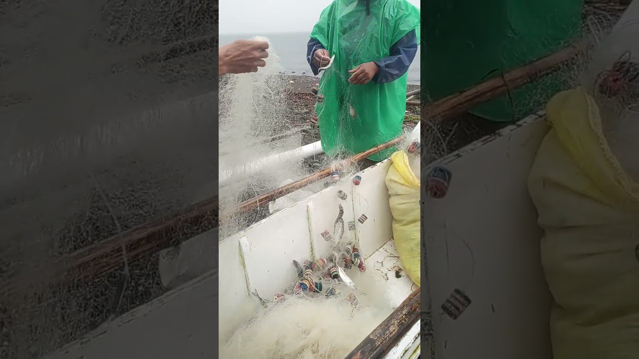 Umuulan, pero my isda parin.