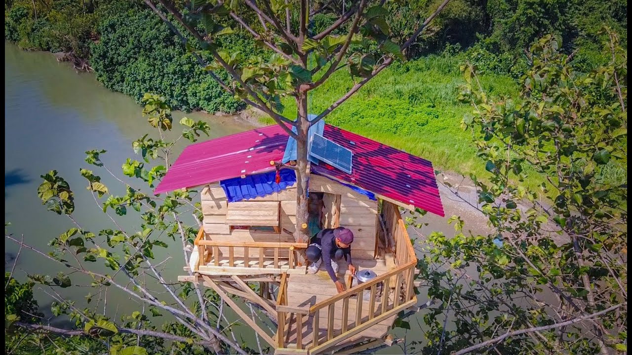 5 Hari berburu dirumah pohon cari ikan digenangan air sawah & berburu burung elang jawa!!!! #KOOKIKO