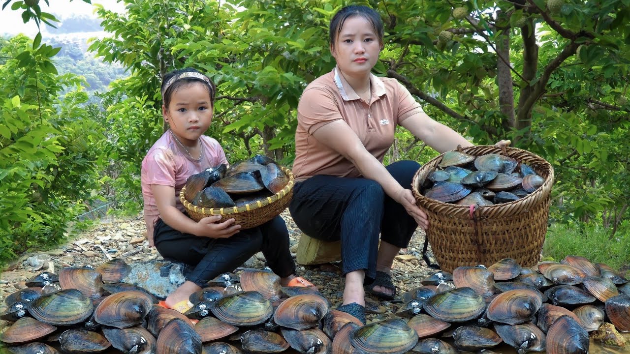 The process of Harvesting a lot of mussels, Picking fruits, Giant bamboo shoots - With my daughter