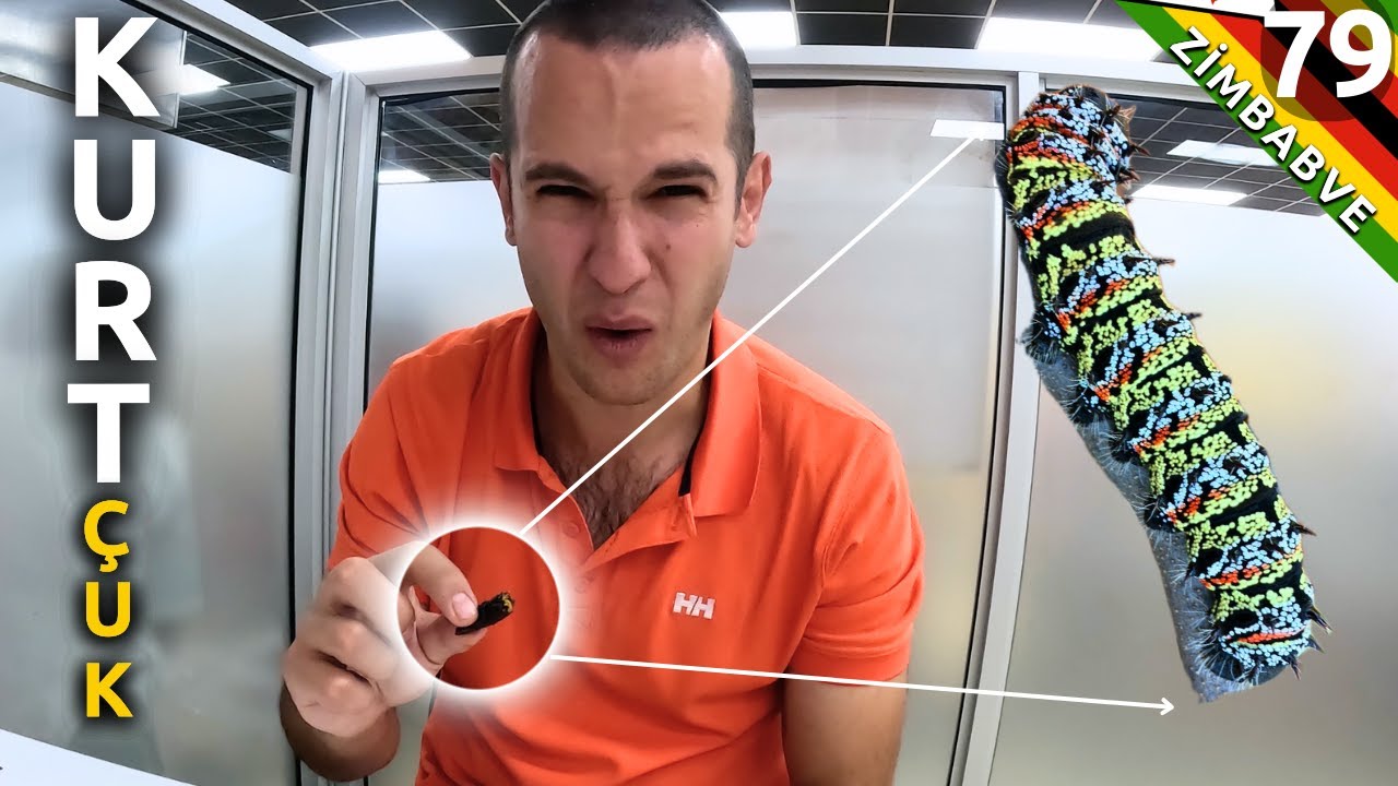 Bundan sonraki HER ÜLKEDE YENİYORMUŞ !! (79. Bölüm)