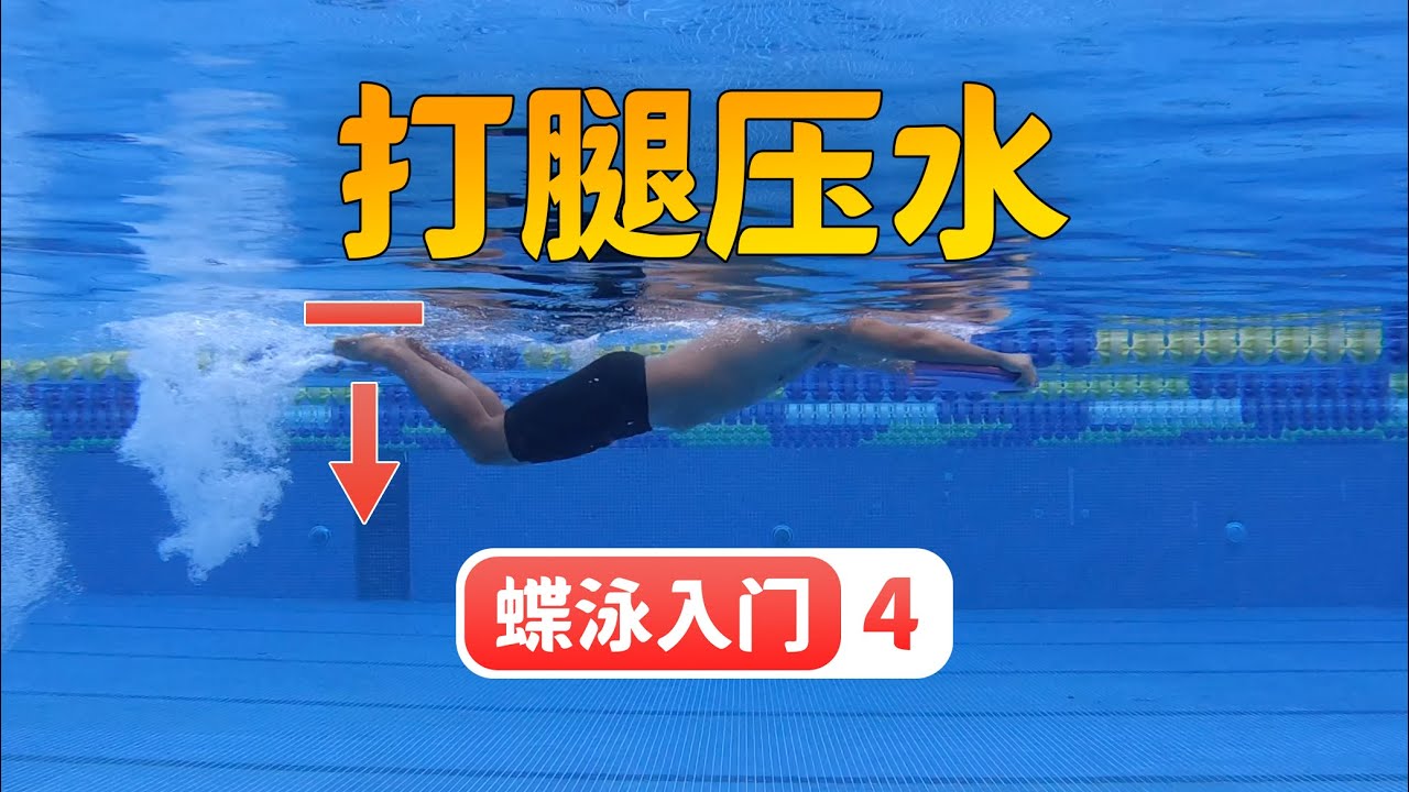 【蝶泳入门】4.打腿压水，进一步优化打腿技术｜梦觉教游泳