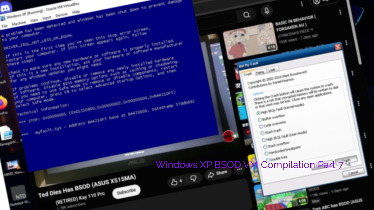 Windows XP BSOD Compilation VM Part 7