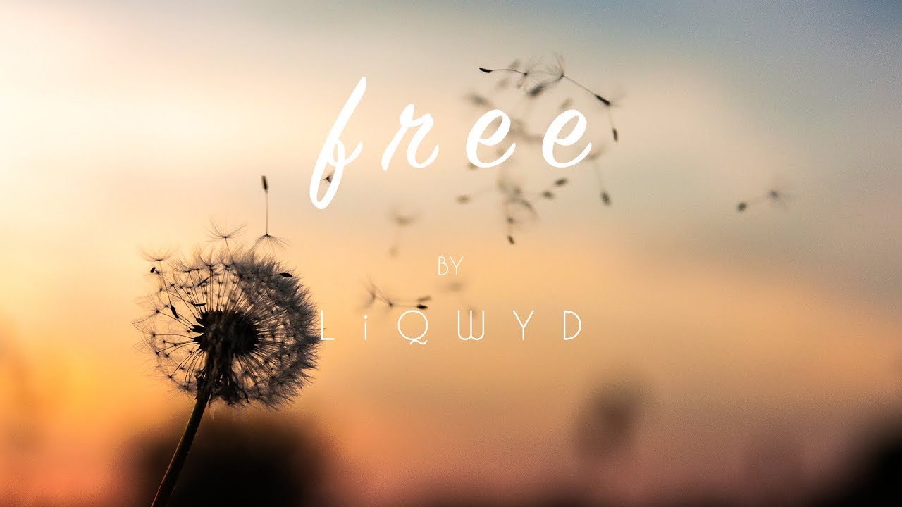 LiQWYD - Free [Official]
