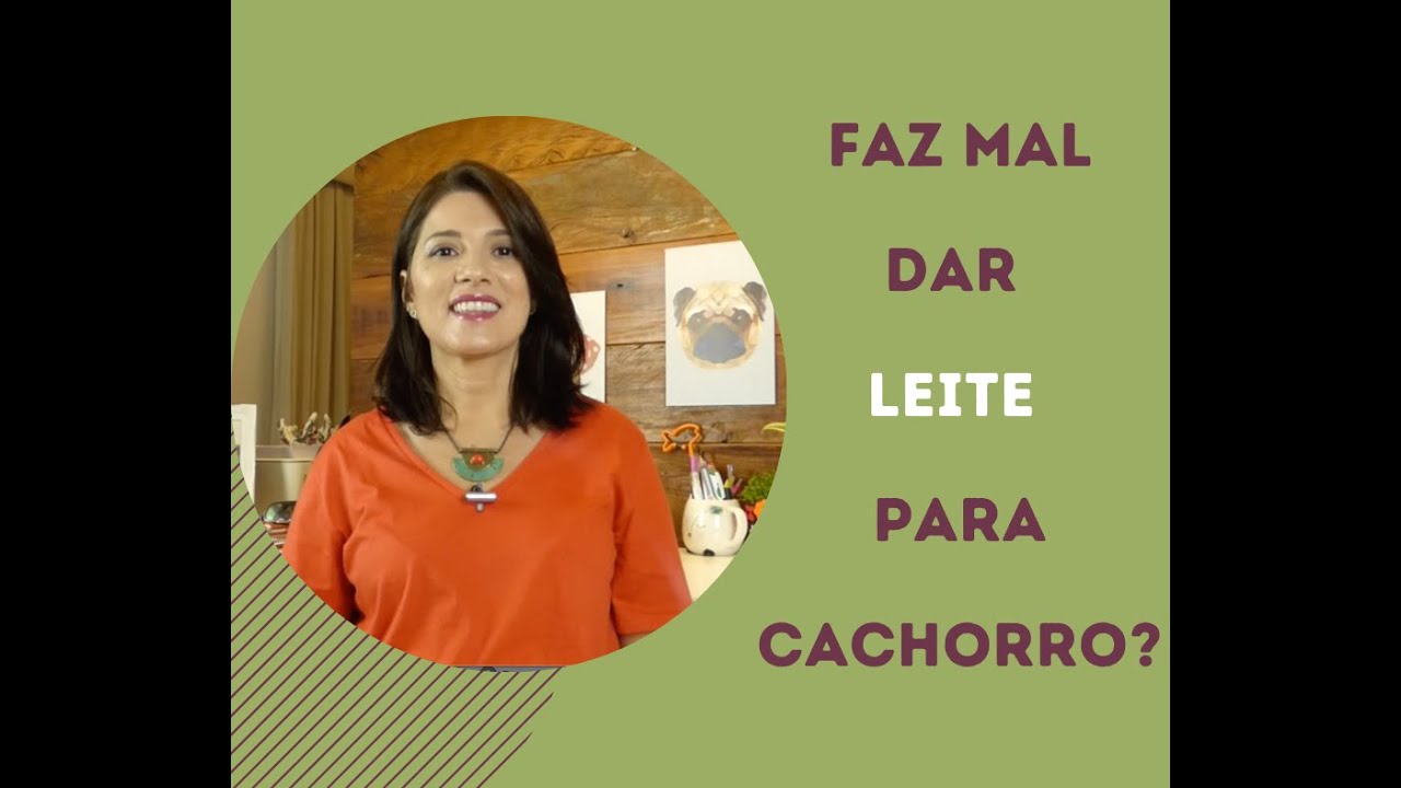 Leite faz mal pro cachorro???