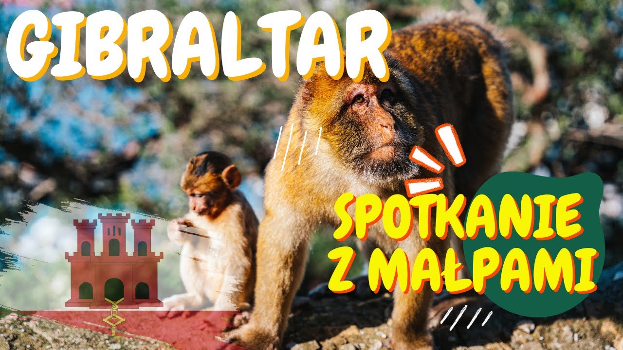 Gibraltar - zwiedzanie. Co warto zobaczyć na Skale Gibraltarskiej