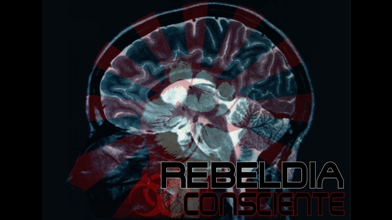 Rebeld&iacute;a Consciente: Introducci&oacute;n