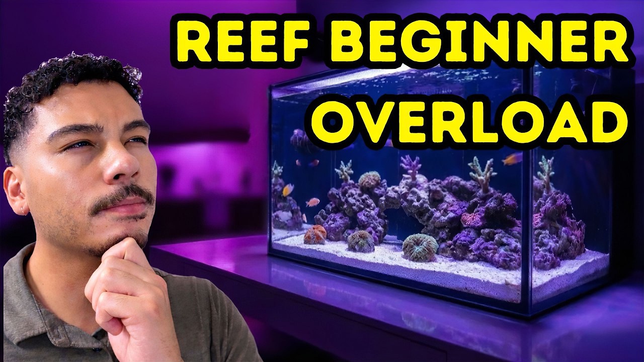 What's Wrong With My New Reef Tank?