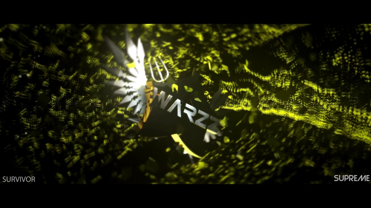 WarzZ_DreamZz Apointro by Survivor