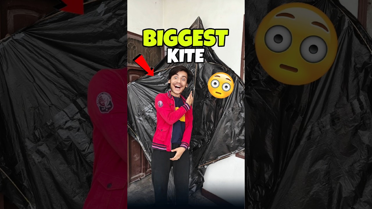 Biggest Kite 💀😱 | Mini Vlog 