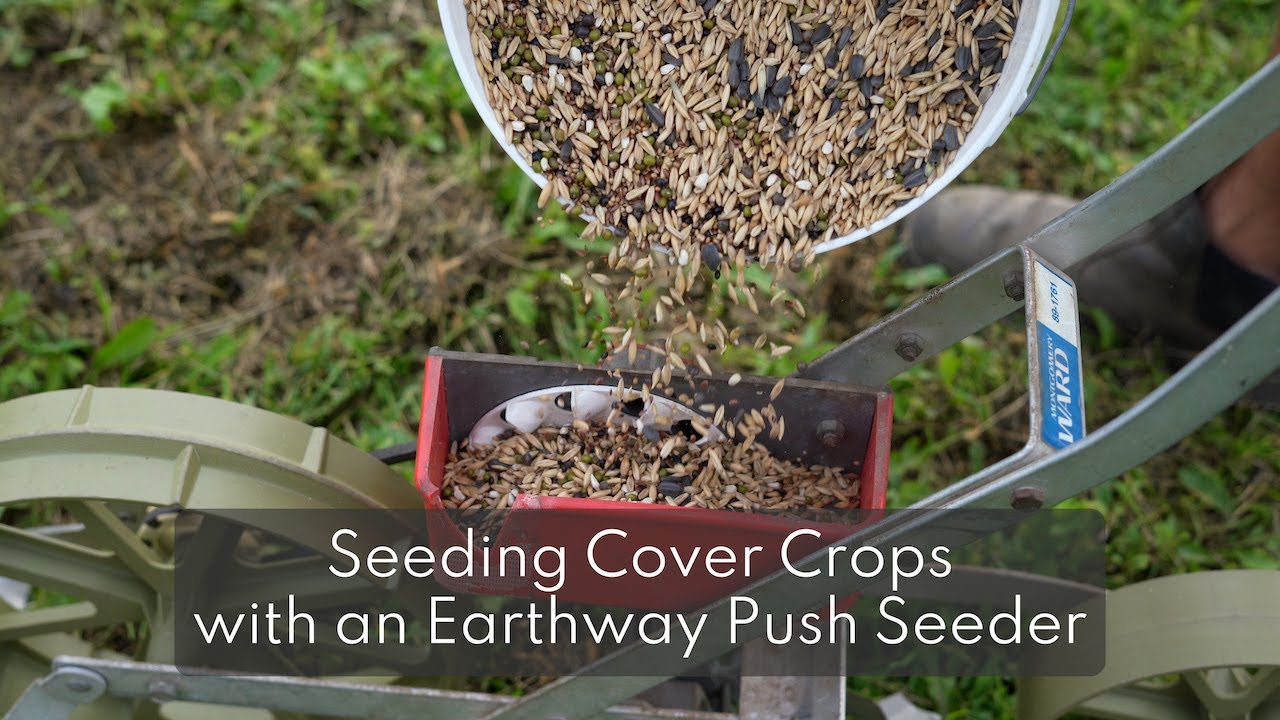 Sowing Cover Crops with an Earthway Precision Seeder