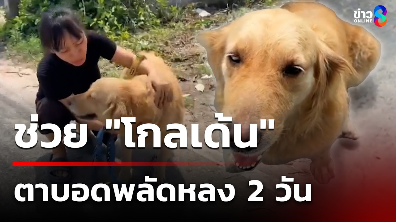 ช่วย 