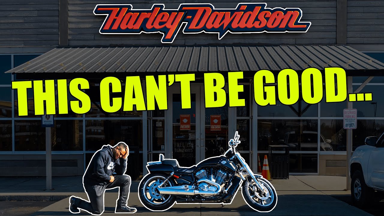 HARLEY DISCOVERED MY YOUTUBE CHANNEL & ASKED Me To TALK  | Harley Davidson V-ROD Muscle Problems