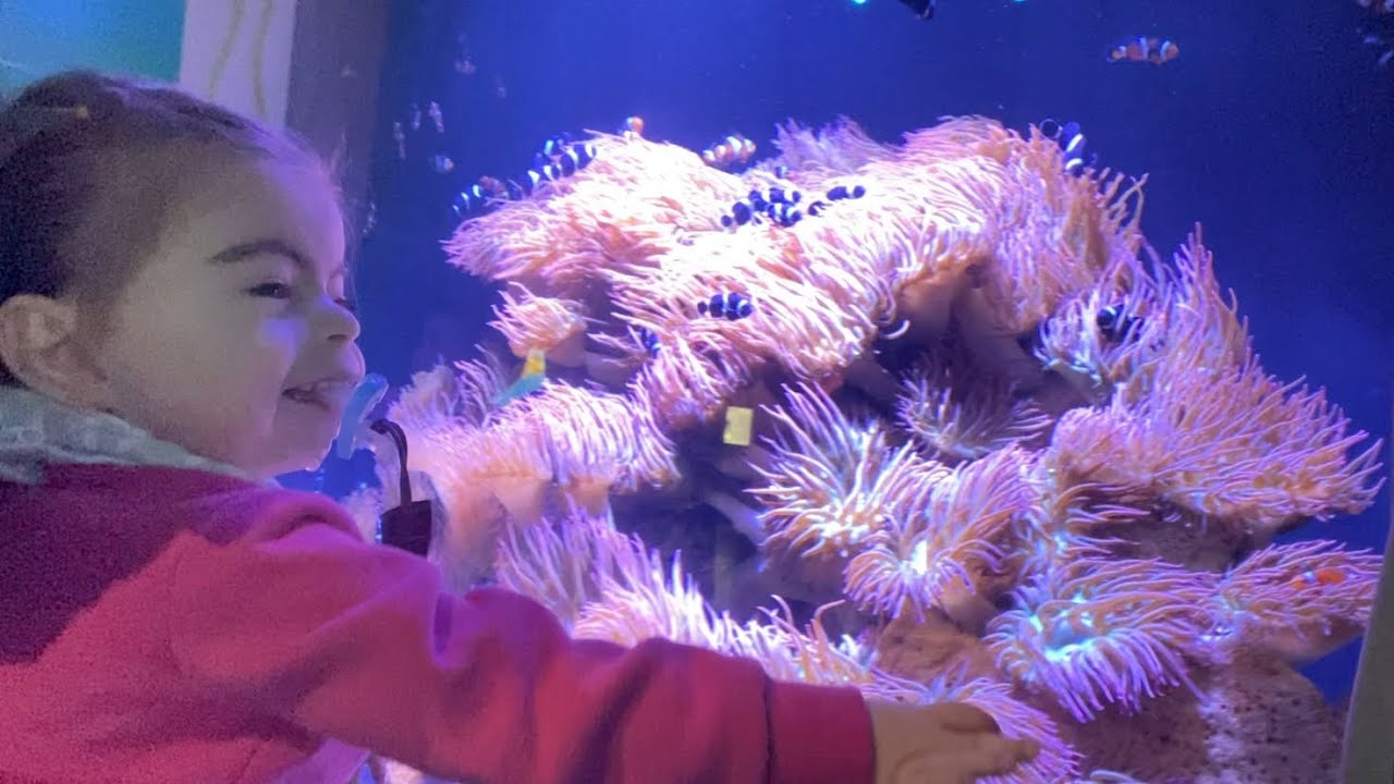 Freya favorite place on earth | CdLS clinic questions