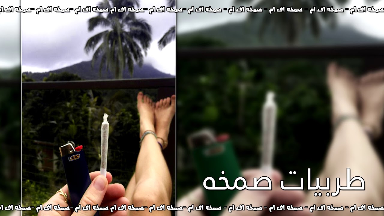 اغاني صمخه مغربيه مطلوبه | دايري السعادهه