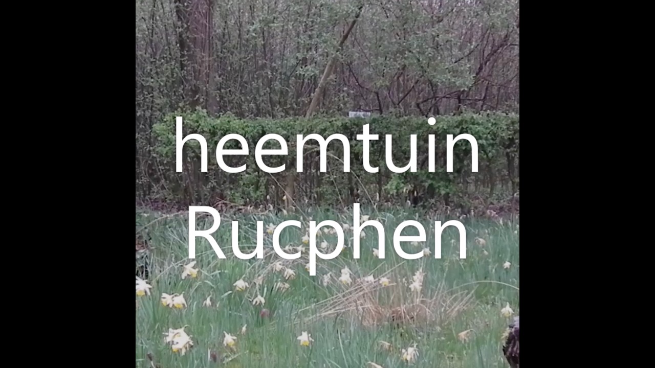 Heemtuin Rucphen