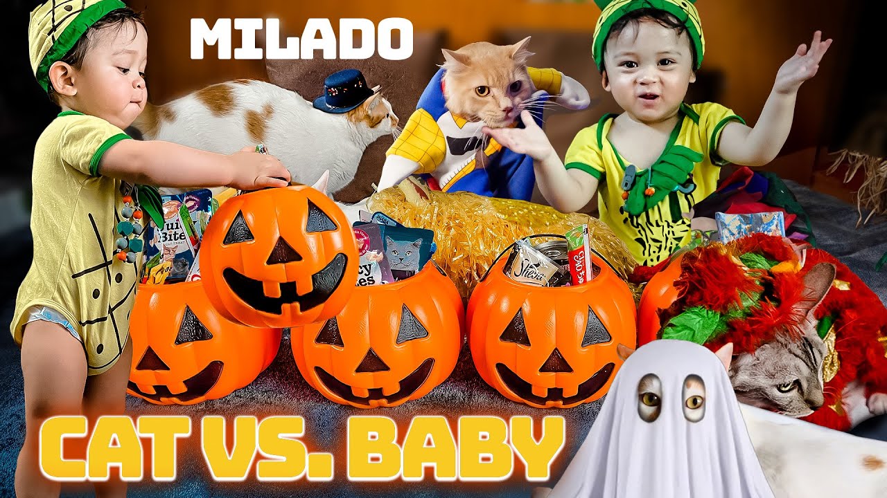 Our 1 YR OLD BABY Following Commands and Packed TREATS for His CATS 🎃