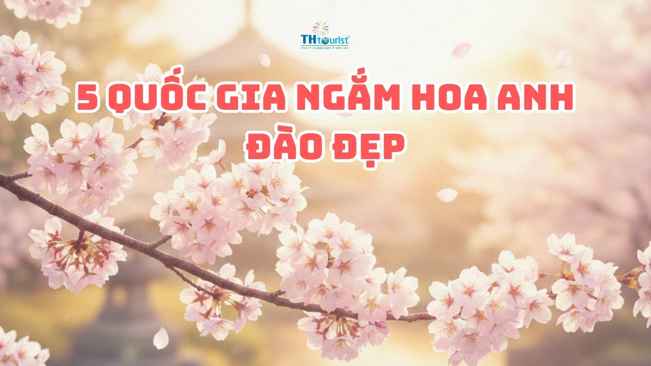 5 quốc gia ngắm hoa anh đào đẹp nhất thế giới - Xem ngay để không bỏ lỡ