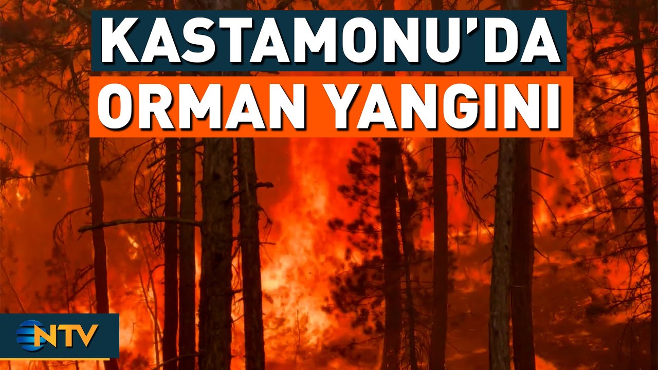 Kastamonu'da Orman Yangını! Alevler Yerleşim Yerlerine Ulaştı | NTV