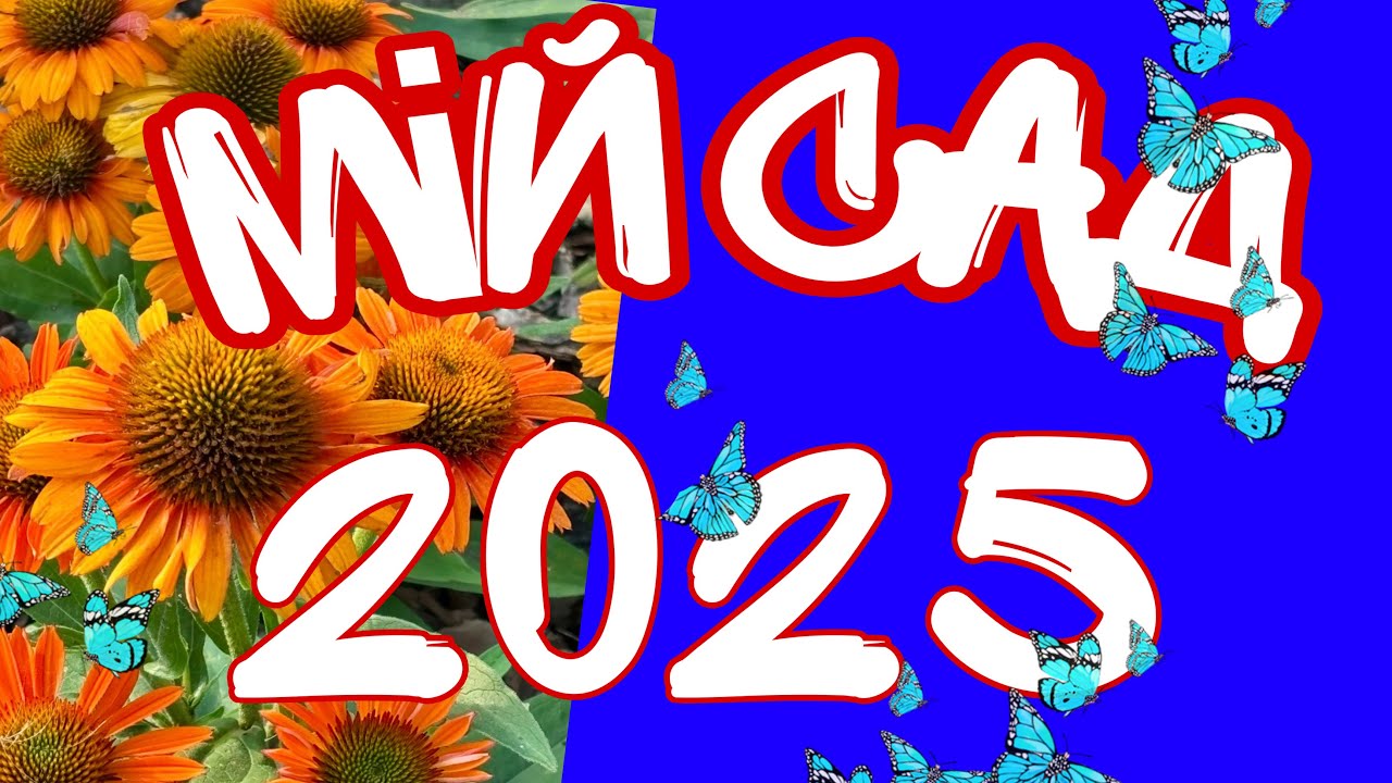 Мій сад 2025 року, частина 2