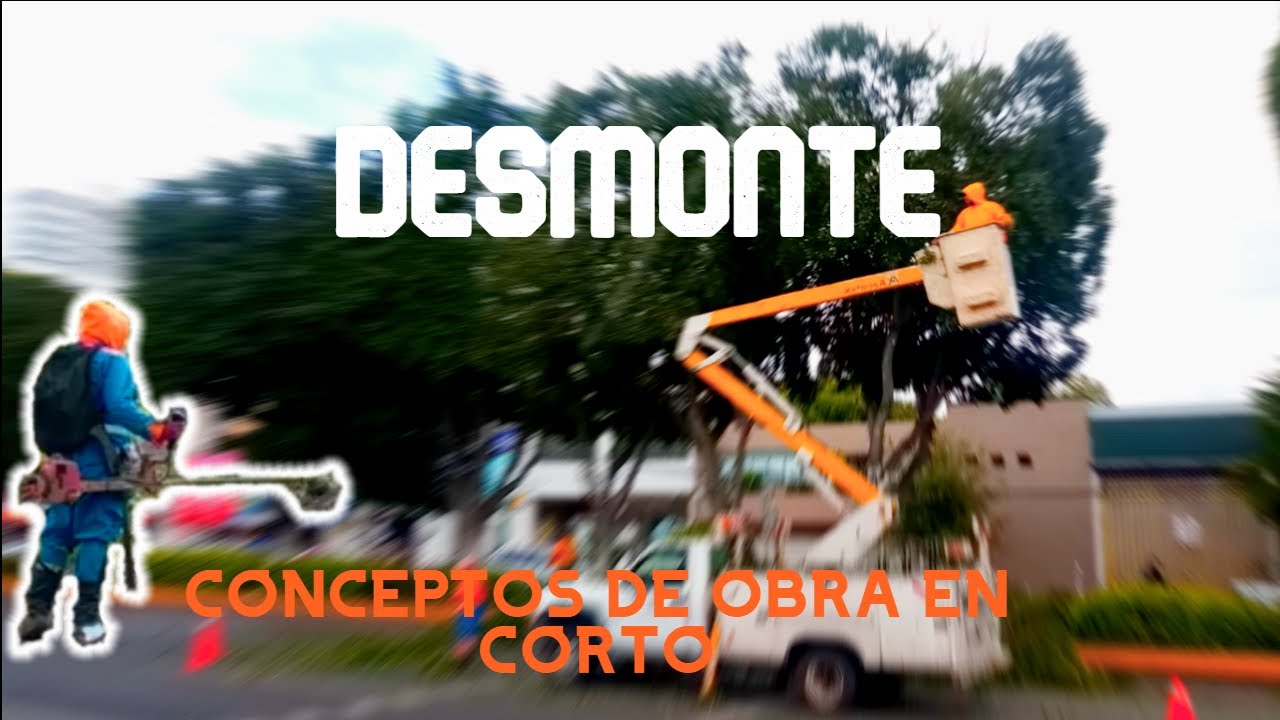 DESMONTE ¿QUÉ ES? LIMPIEZA DE TERRENO || LTCM EN CORTO