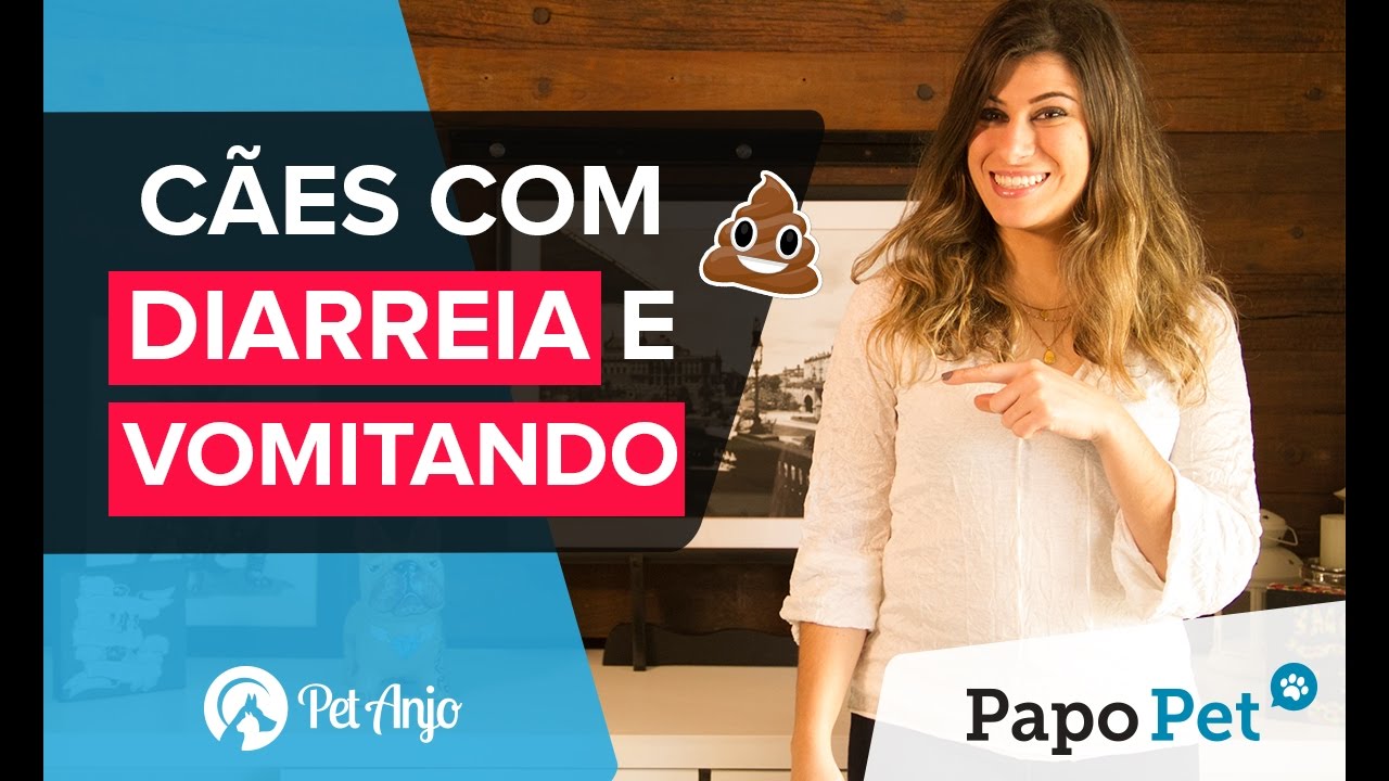 Diarreia e Vômito em Cães e Gatos: O Que Fazer? - Papo Pet por Pet Anjo