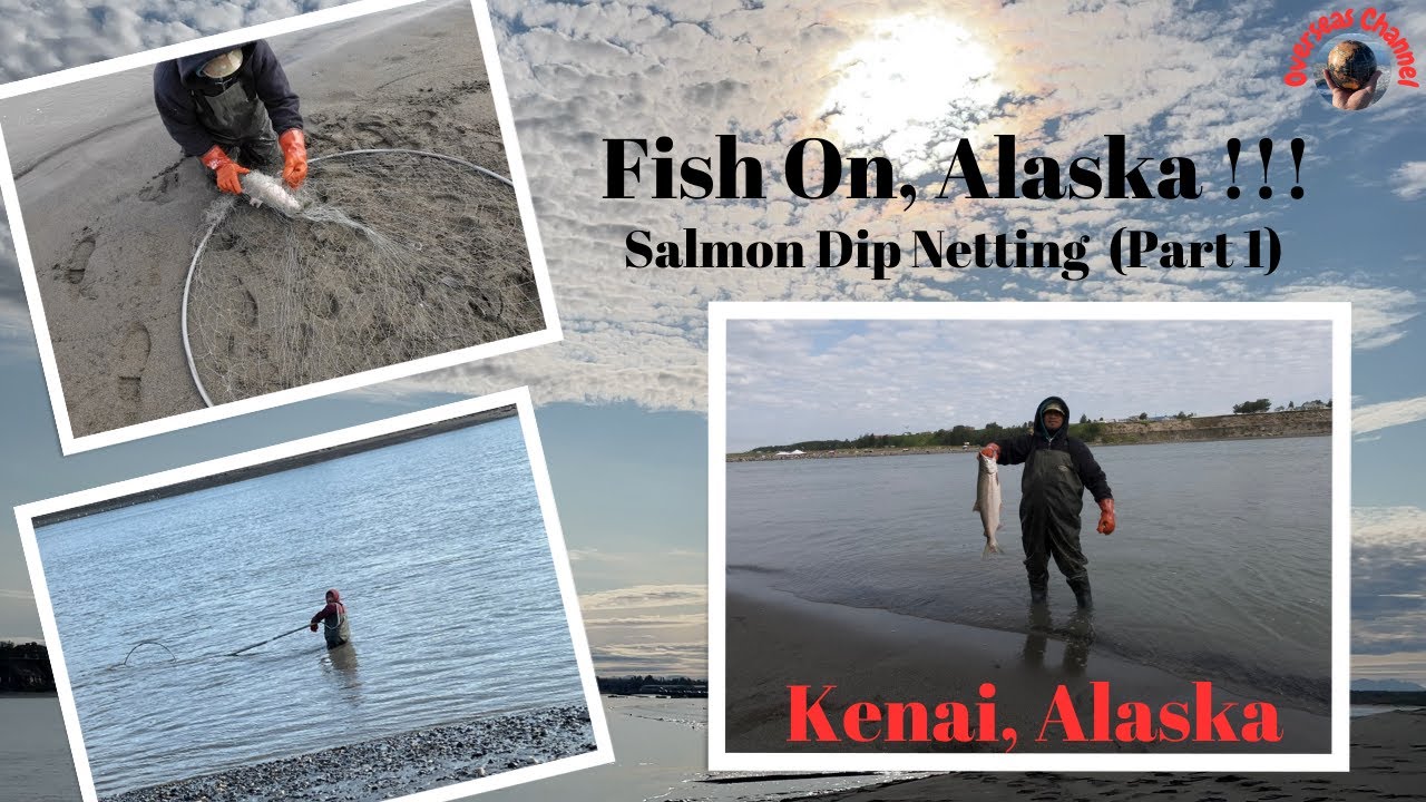 Salmon Dip Netting: Kenai River, Alaska 🇺🇸 (Part 1)