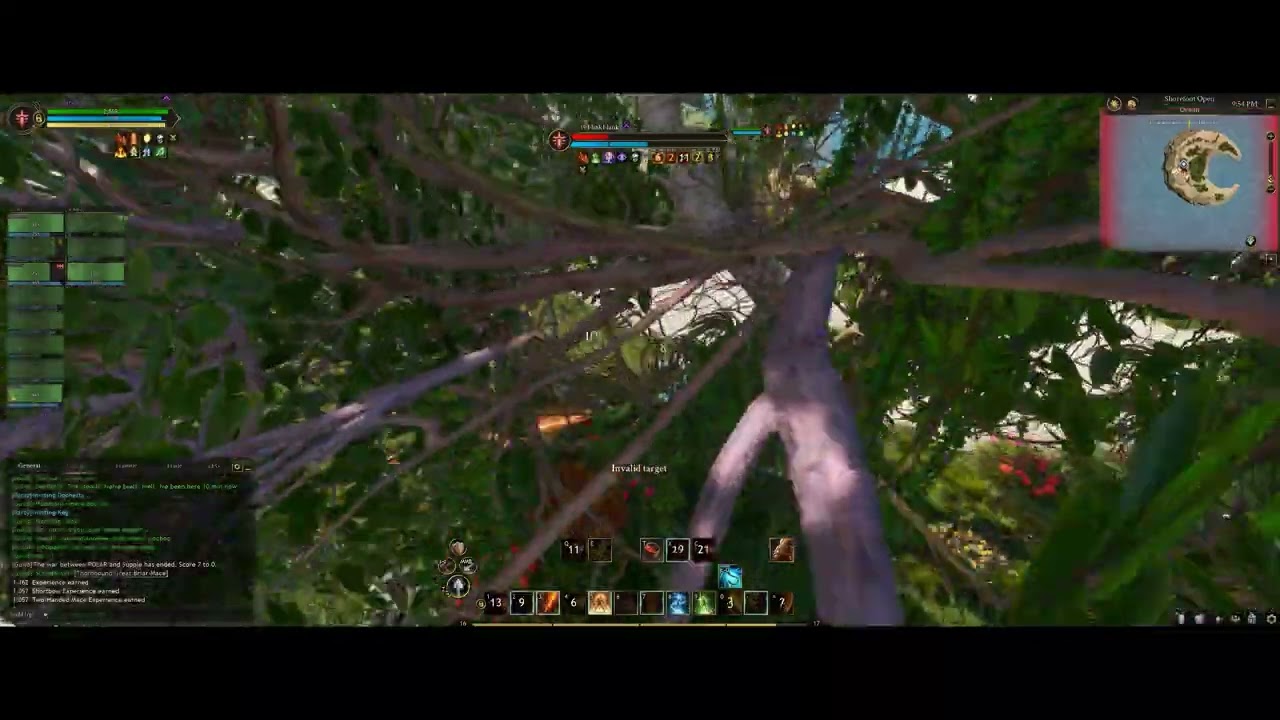 Mithril Warhammers fight The BadFish Amanda  & a Polar Rogue  in the Tropics at Ruins of Sholfire