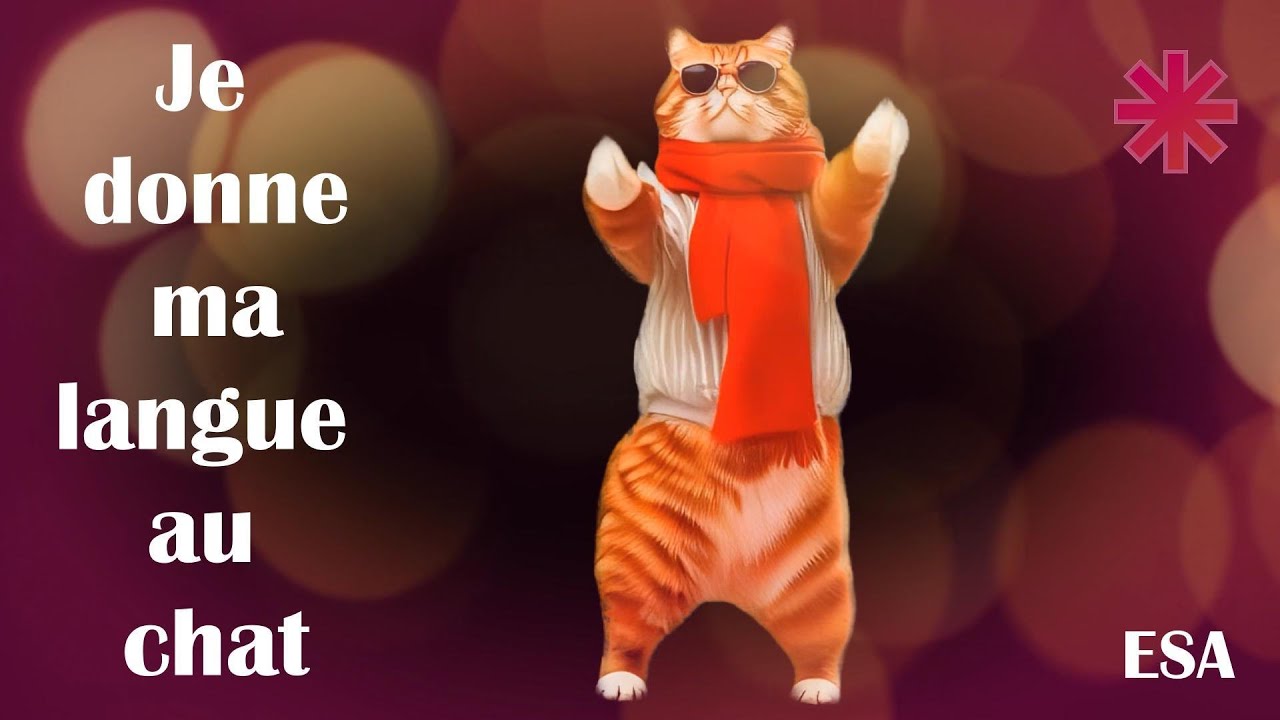 Je donne ma langue au chat