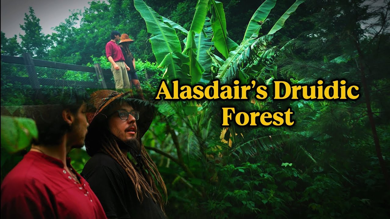Syntropic Spotlight - Alasdair’s Transformation of Rock into Regrowth