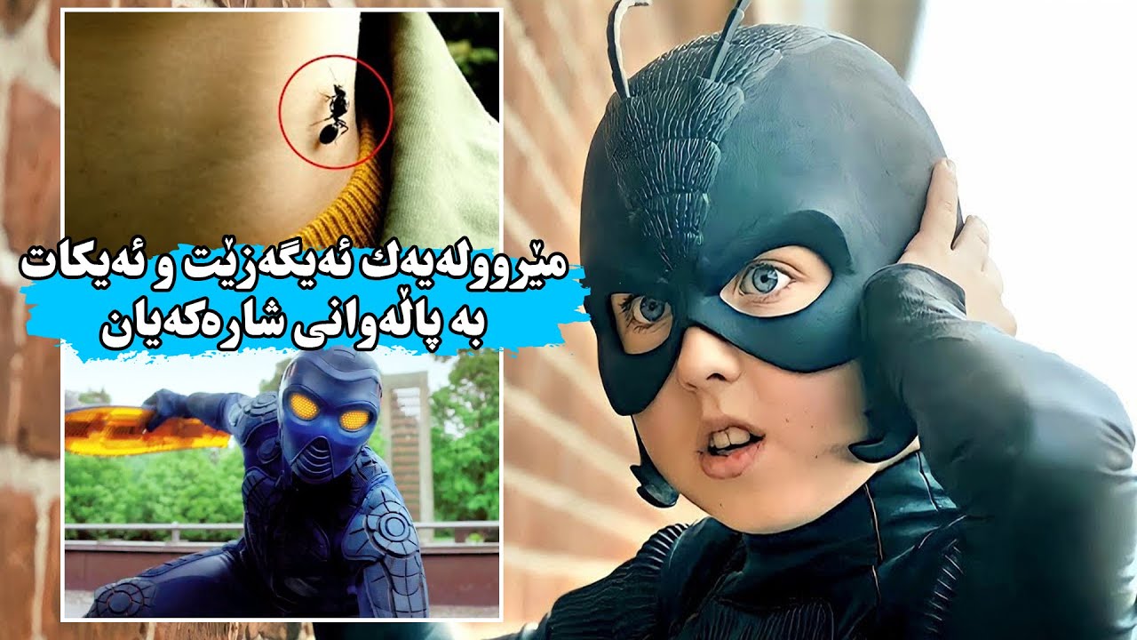 كوڕێكی بچووك مێرووله‌ ئەیگه‌زێت و ئەیكات بە پاله‌وان و ئەشبێت شارەكەی لە خراپەكارەكان بپارێزێت
