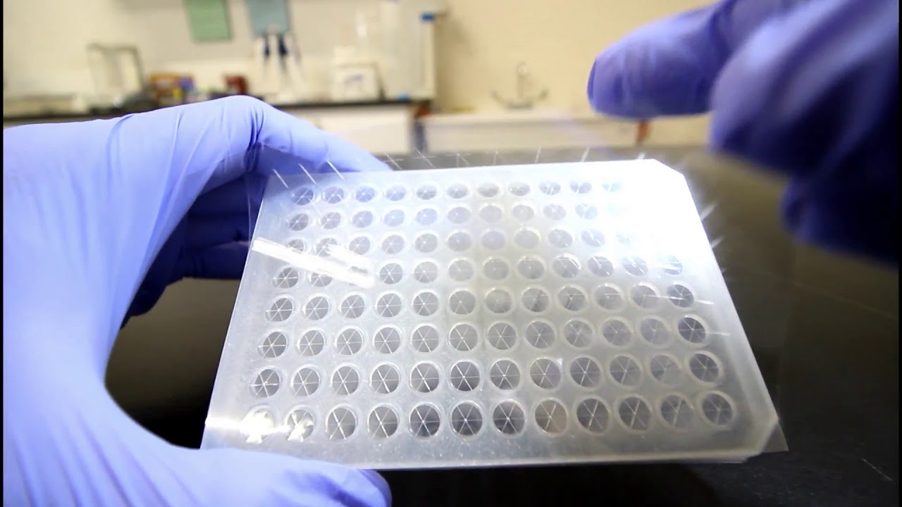 How to use Microplate Sealing Film