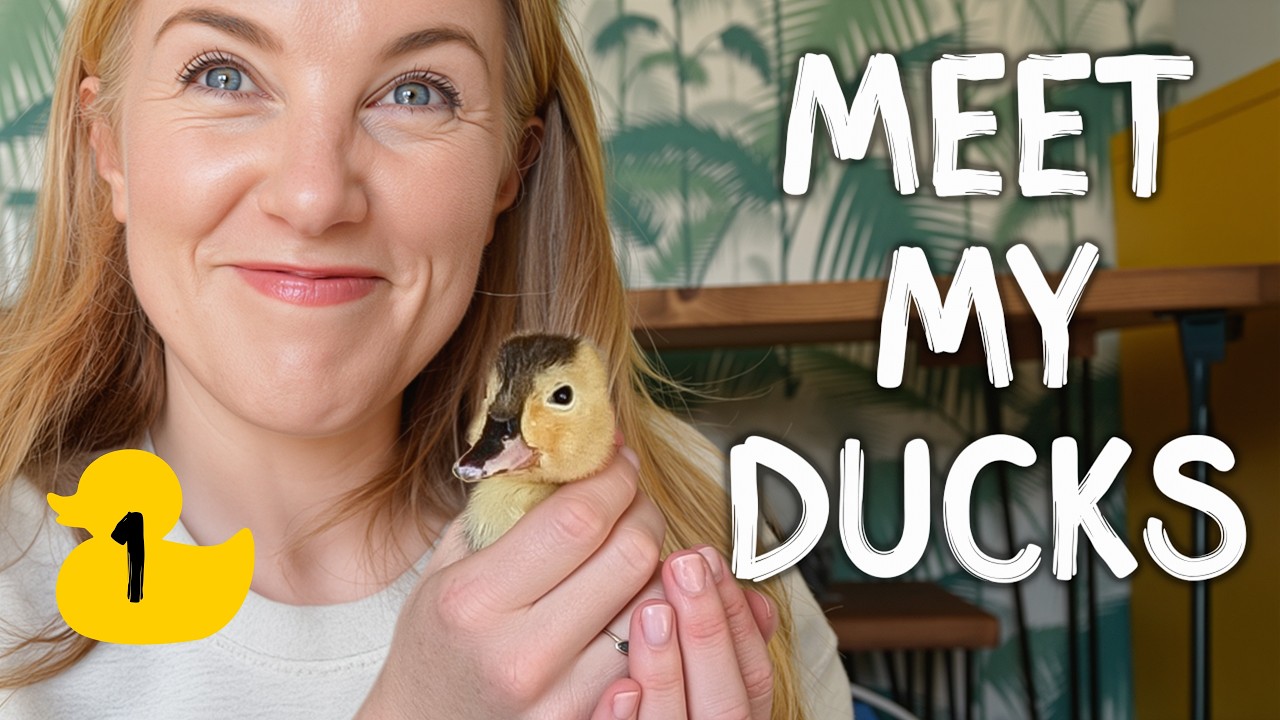 How do ducklings hatch from eggs?! | Maddie Moate