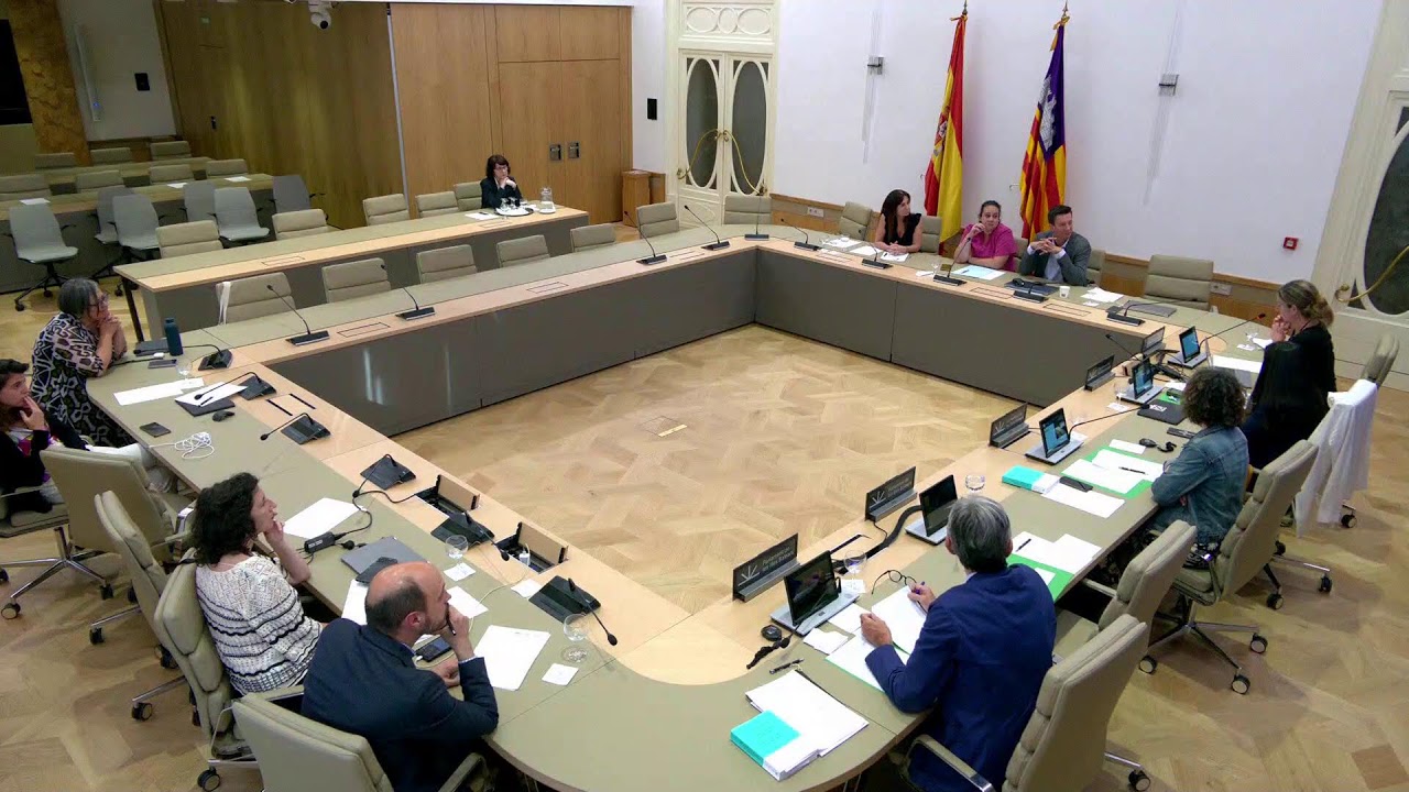 CNP ESTUDI I REFLEXIÓ IMPACTE DIGITALITZACIÓ EN L'EDUCACIÓ, 30/05/2024, 16.00 hores