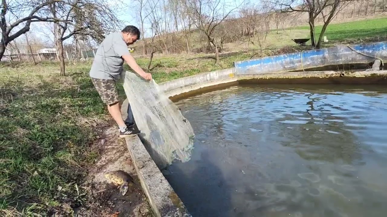 SOȚIA NU MĂ MAI LASĂ SĂ FILMEZ PENTRU YOUTUBE 🙆 PEȘTE PRINS CU  PROSTOVOLUL🐬🐟🐬