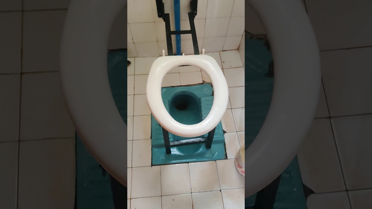 Wall mounted Removable Commode Chair for two-in-one toilets of India Hubli