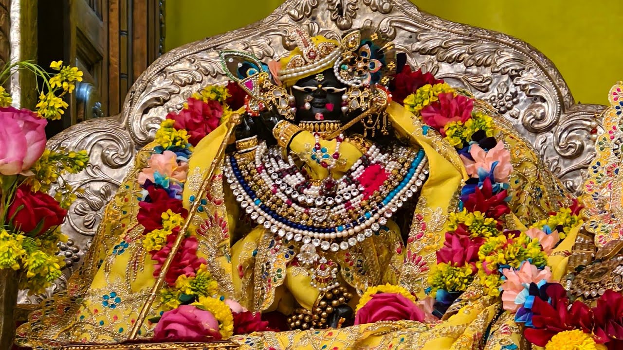 Basant Panchmi Ka Aanad Shri Vrindavan Dham meh #basantpanchmi #vrindavan #viral #livestream #art