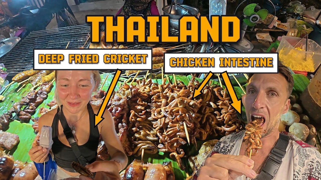 Eating INSECTS & INTESTINE at Chiang Mai Food Festival 🇹🇭