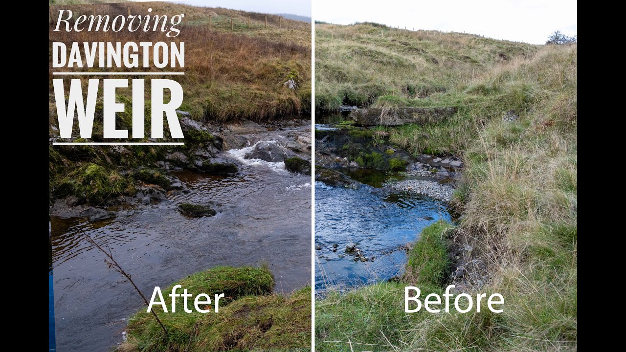 Removing the Davington Weir on the Border Esk