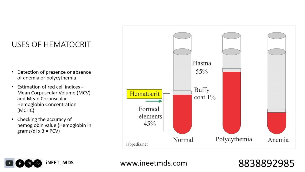 HEMATOLOGY BASICS