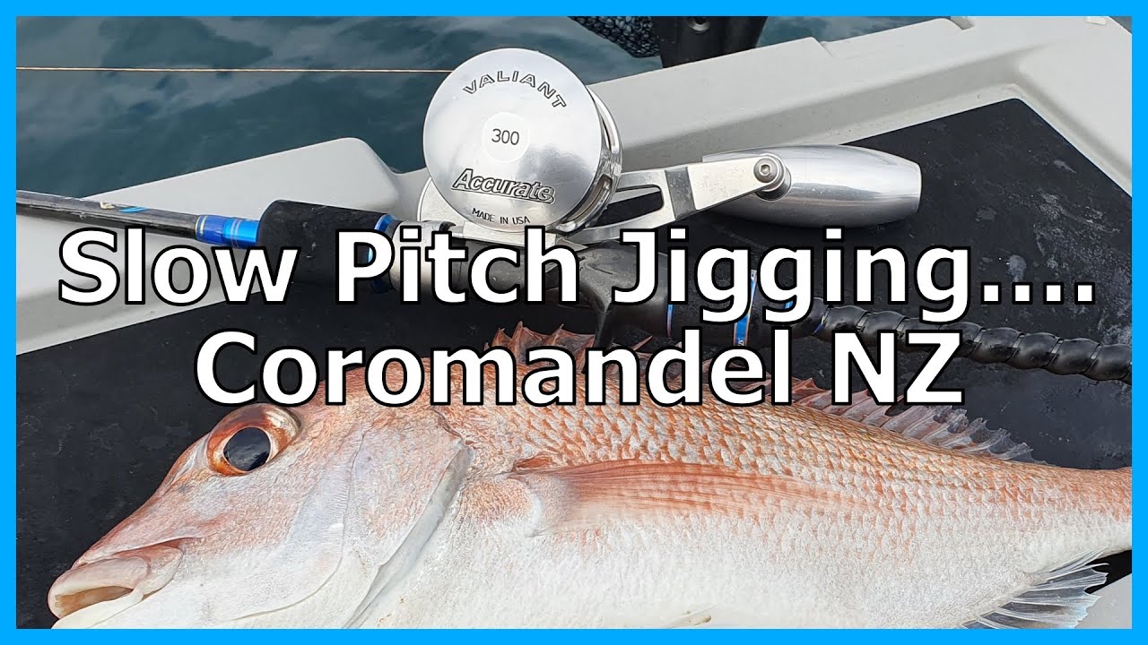 Slow Pitch Jigging....Coromandel NZ